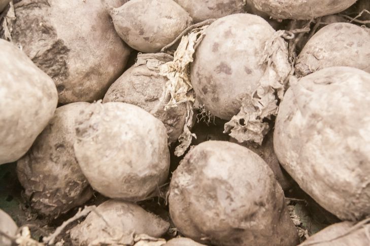 ������ ������������ �������� � ������ �� ����� � ������: ����� 5 ������� ������������