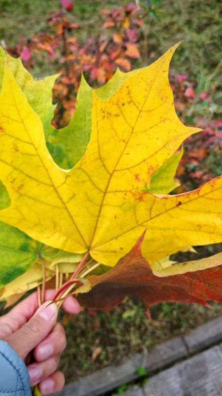 Пятница: Время Отдохнуть и Насладиться Вкусом Выходных