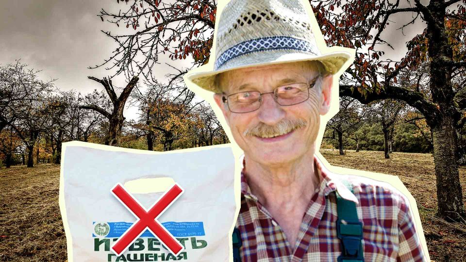 Бывалые дачники забыли об извести: почву в саду раскисляют совсем иначе