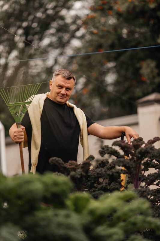 Сентябрьские заботы в огороде: что нужно сделать, чтобы подготовить участок к зиме