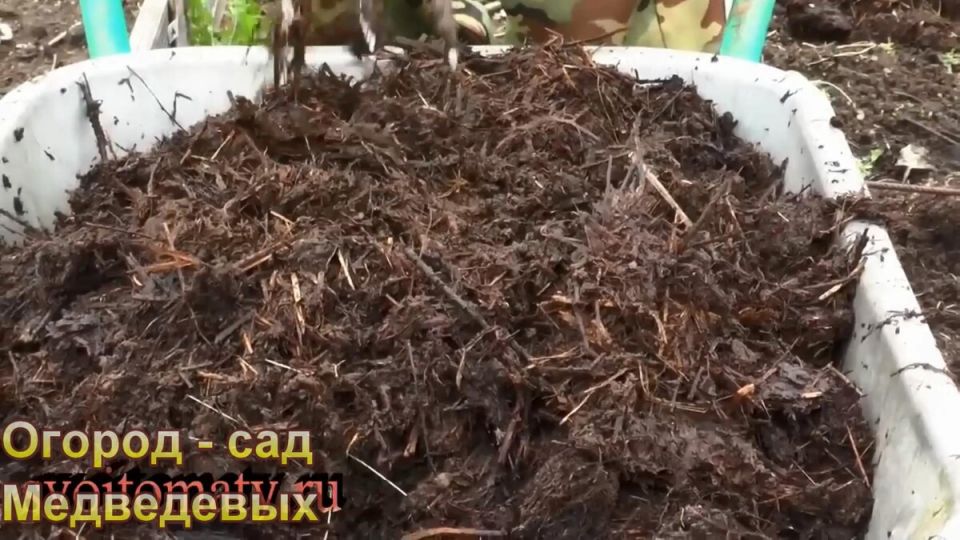 ����� ����� ���������� � ������� � ������ �� ����� ����������� � ����������