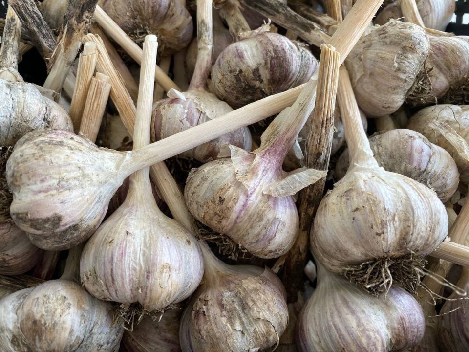 ��� ��������� �������� ������ ������: ������ ��� ������� ������