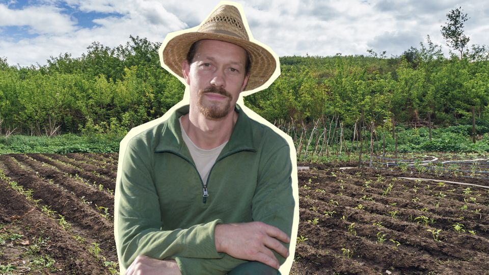 �������� ���� �� ����� ��� ��������: ��������� ������� ���� ��� ������ � ������