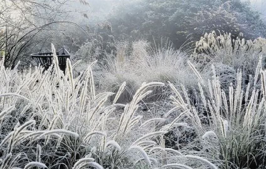 ������ ��� �������� �� ���� ������� ������������ ���������