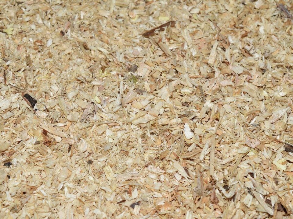 ������ �� ����: ��� �������� ������ � �������� ������� ������