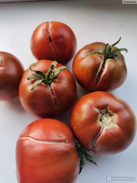 ����� ���������: ���������� ���� � ���������� ������ � ������������ ������������