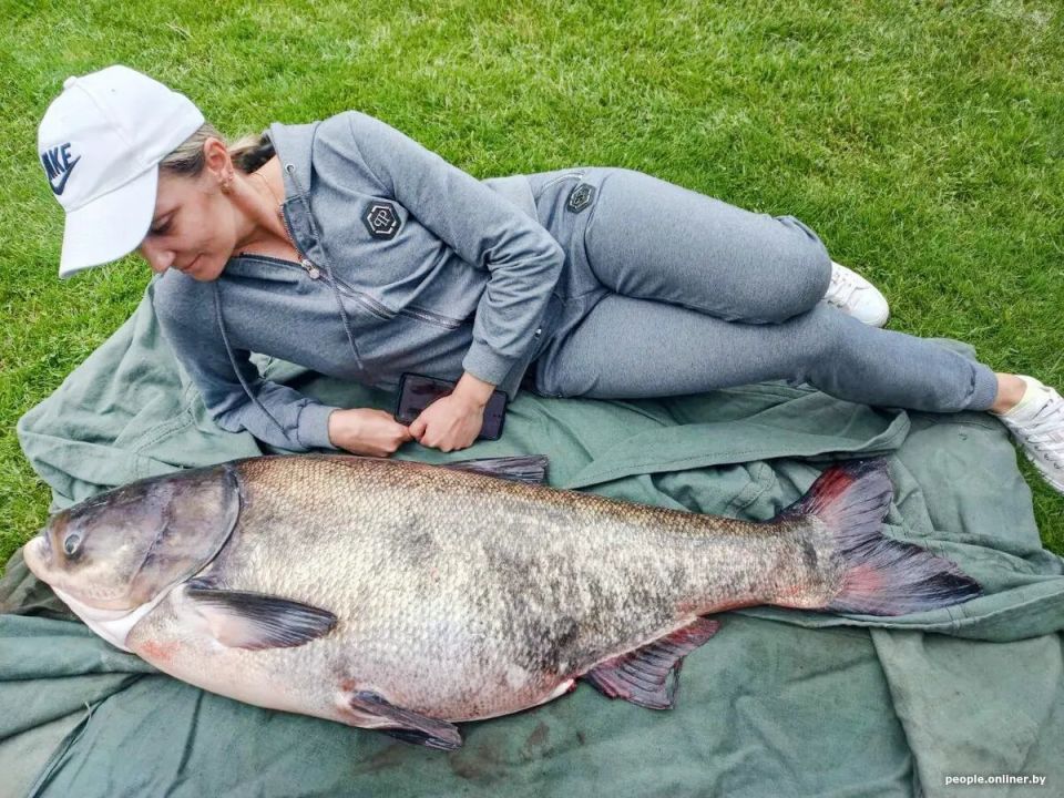 ����������� � ������ �������: �����?3 ��� � ������, ������� � ������� �������