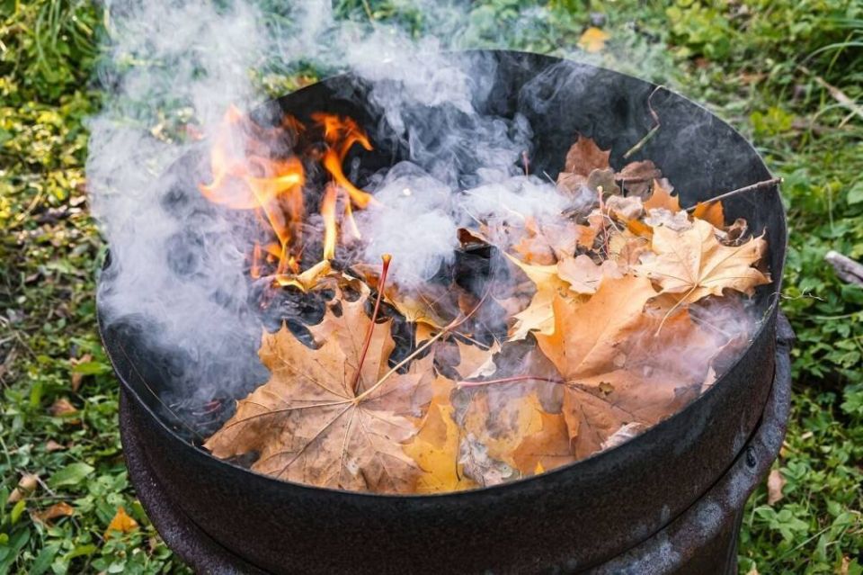 ����� ������� ��� ��������: �������� � ������������