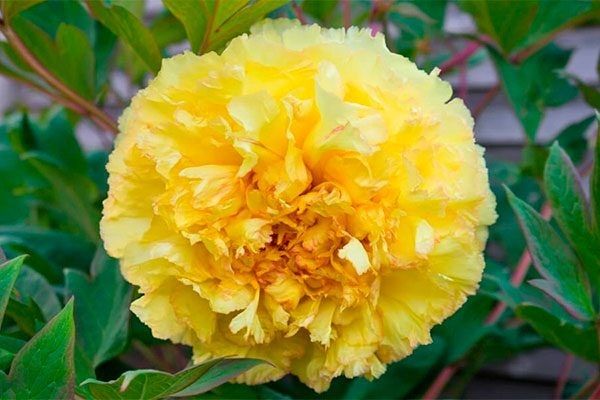 ���������� �������� ����� ������ �����