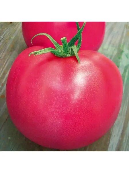 Томат Алеша: все, что нужно знать о перспективном гибриде