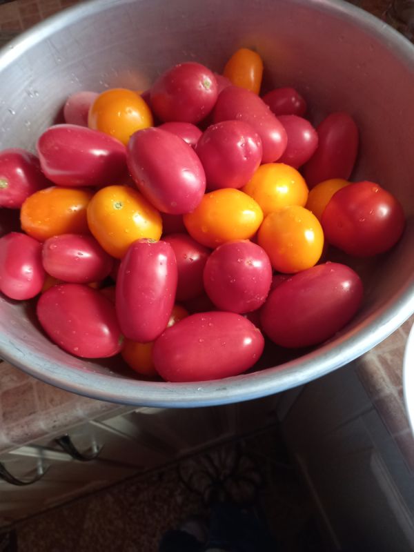 ������ ����� ������� 2025 ����