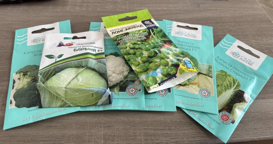 Как выбрать семена капусты в 2026 году: советы для огородников