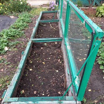 ������������ ���� ��� �������� ��������� ������ ������