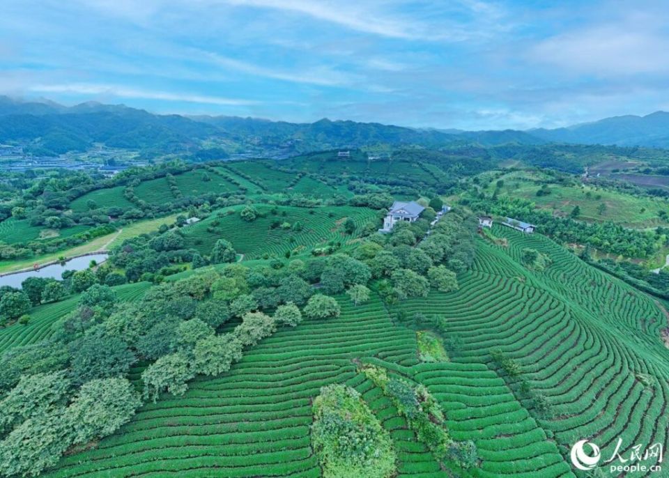 ��� � �������: ���� � ���������� � �������� ������