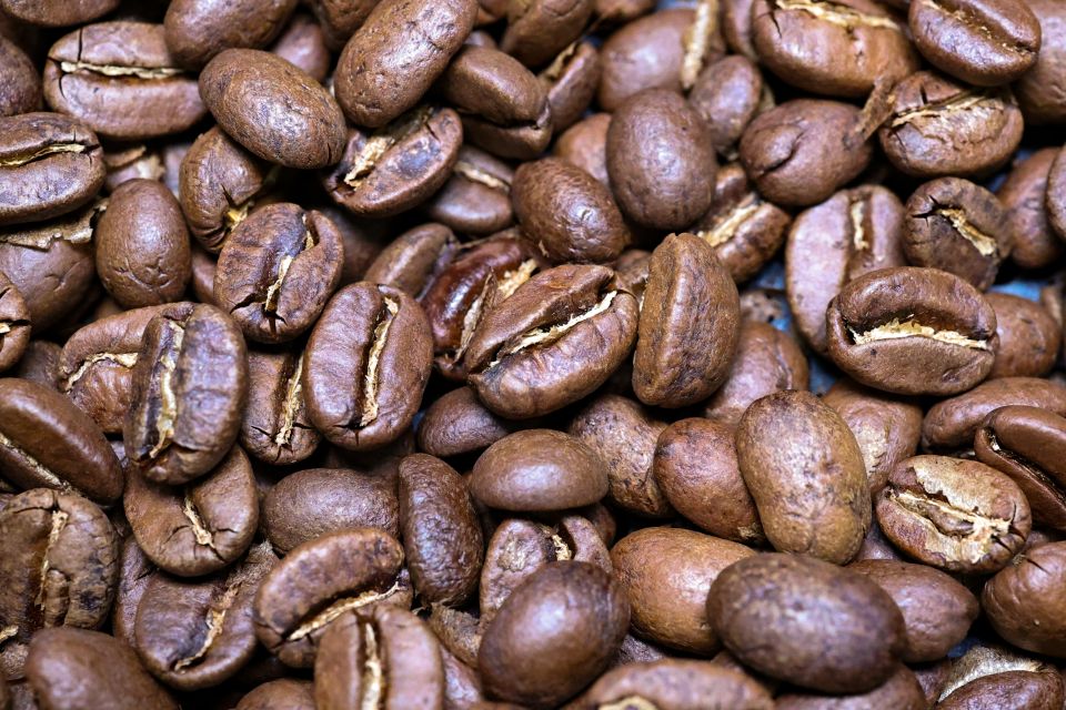 �������� ����� � ������: �������� ������ ��������� �� �������� �����