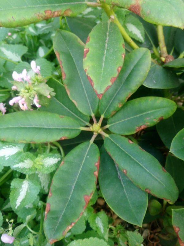 ������ ���� ������� ������������ ���������� �������?