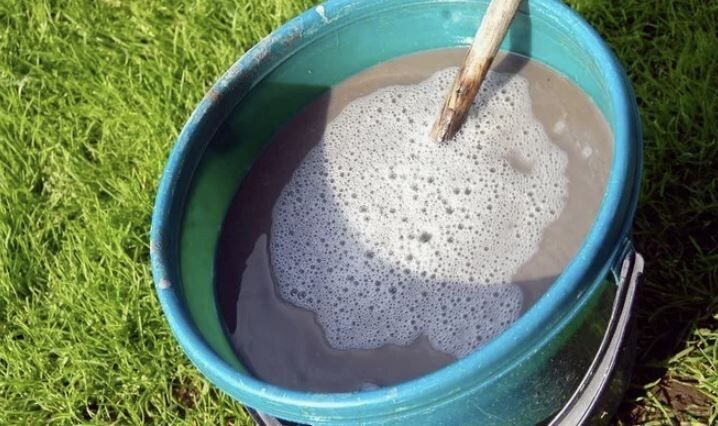 ������� ������������� ��������� ���� � �������� ���������