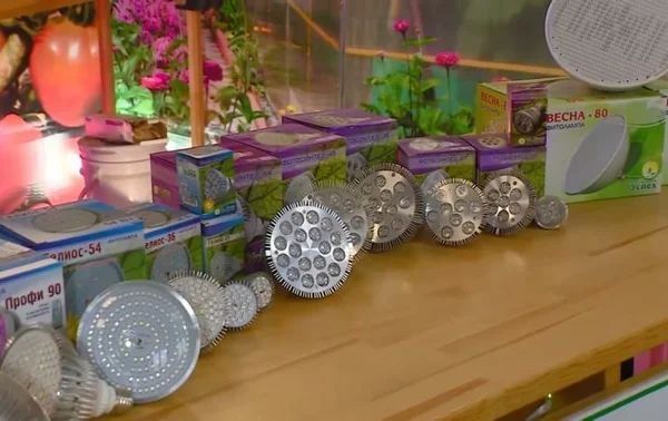 ���������: ��, ��� ����� ����� ��� ��������� ����������� ��������