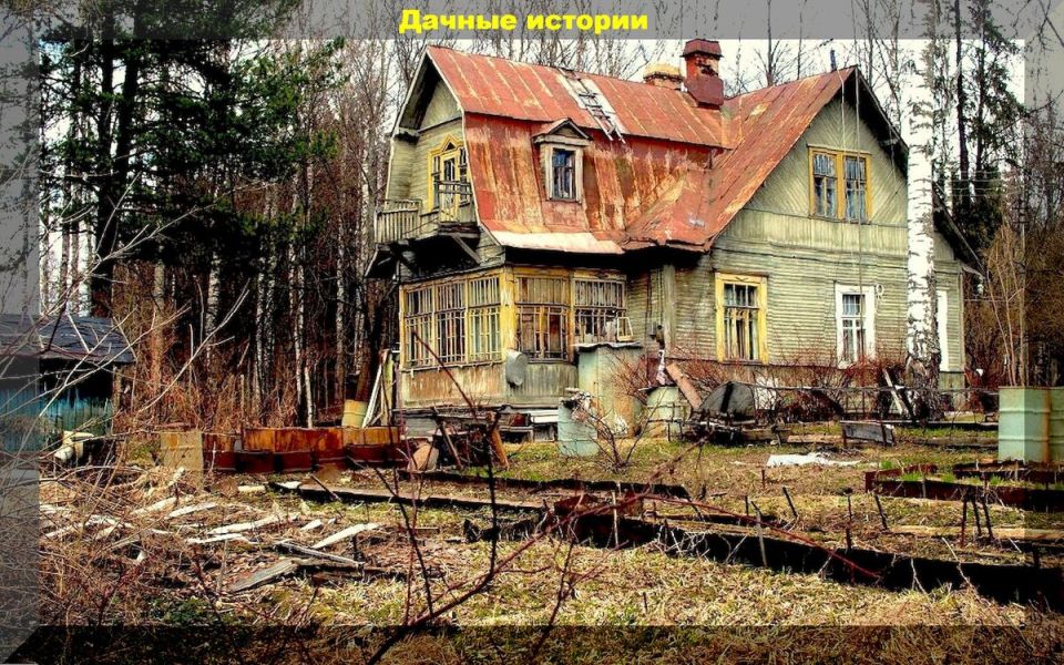 Ответы на основные вопросы начинающих садоводов